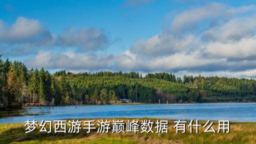 梦幻西游手游巅峰数据 有什么用
