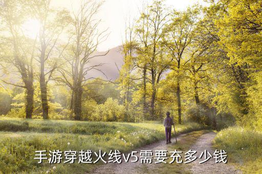 手游穿越火线v5需要充多少钱
