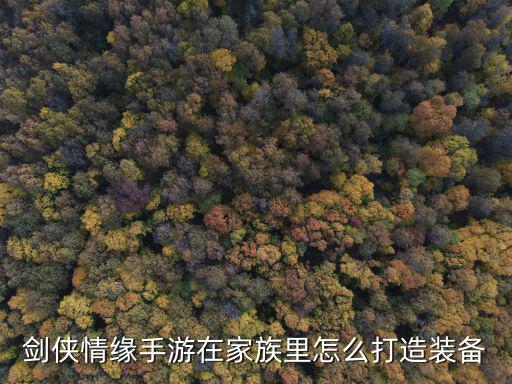 剑网3手游怎么段造4阶装备，剑网3如何打造装备