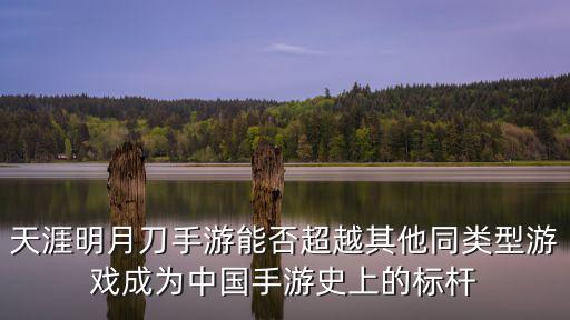 天涯明月刀手游能否超越其他同类型游戏成为中国手游史上的标杆