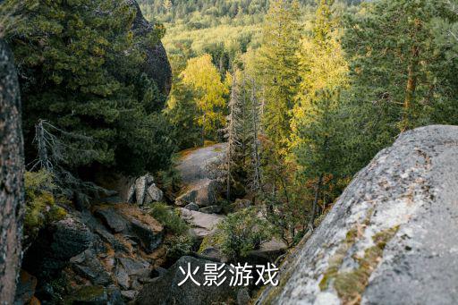 火影游戏
