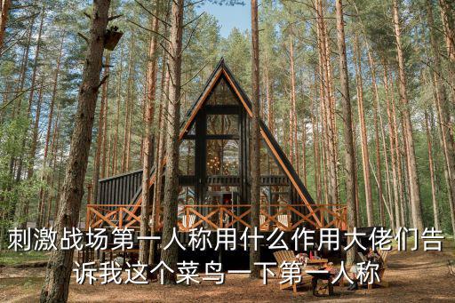 刺激战场第一人称用什么作用大佬们告诉我这个菜鸟一下第一人称