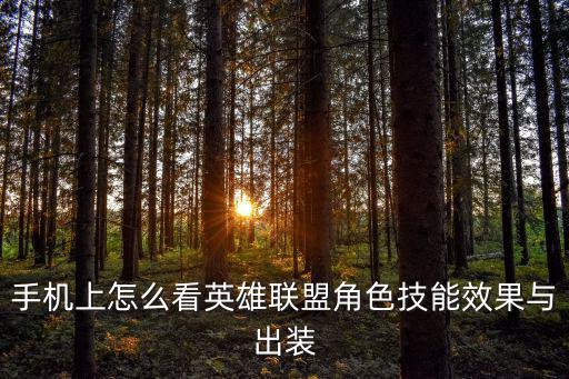 手机上怎么看英雄联盟角色技能效果与出装