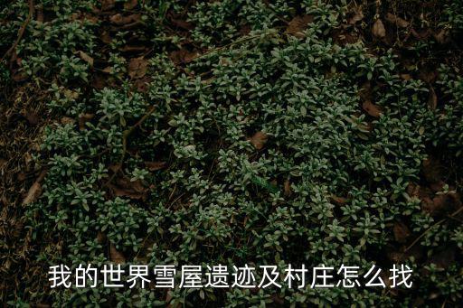 我的世界手游雪屋怎么找，我的世界雪屋遗迹及村庄怎么找