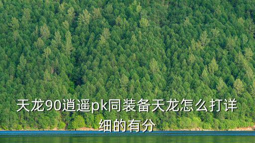 天龙90逍遥pk同装备天龙怎么打详细的有分
