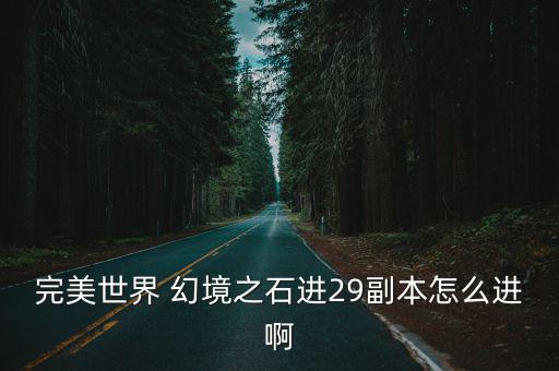 完美世界 幻境之石进29副本怎么进啊