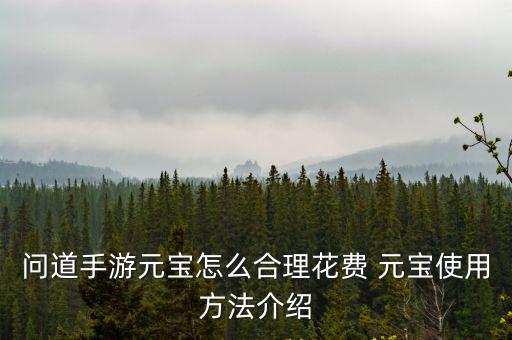问道手游元宝怎么消费能查吗，怎样查看问道元宝