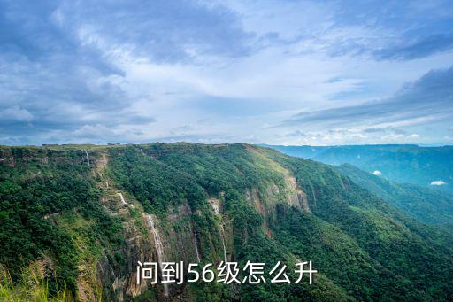 问到56级怎么升