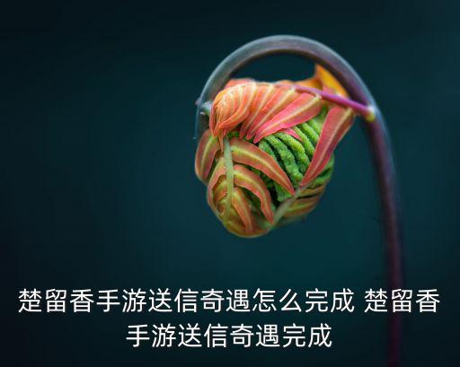 楚留香手游送信奇遇怎么完成 楚留香手游送信奇遇完成