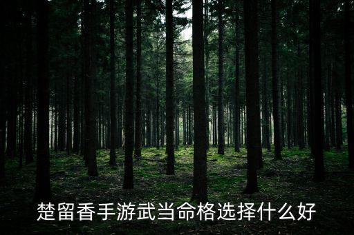 楚留香手游武当怎么选，楚留香 武当选哪个行当