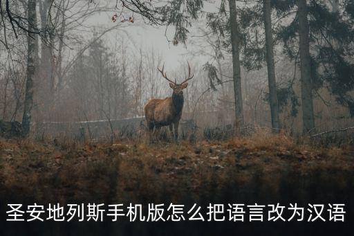 ios手游圣安地列斯怎么弄中文，ipad侠盗猎车手圣安地列斯怎么设置中文版