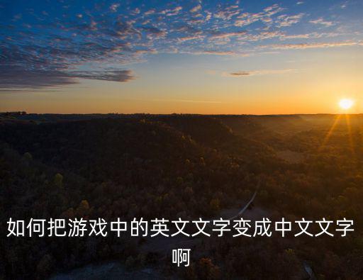 如何把游戏中的英文文字变成中文文字啊
