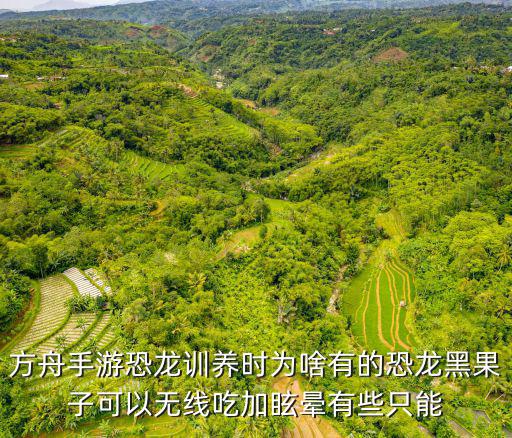 方舟手游恐龙无限耐力怎么用，方舟手游恐龙训养时为啥有的恐龙黑果子可以无线吃加眩晕有些只能