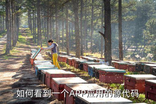 手游怎么查看源代码，手机如何查看源代码文件
