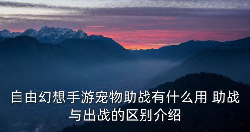 自由幻想手游怎么完成助战，自由幻想手游宠物助战有什么用 宠物助战