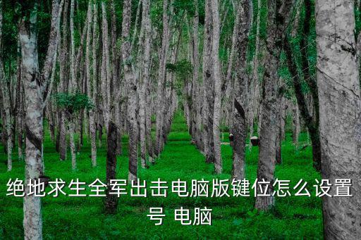 绝地求生全军出击电脑版键位怎么设置号 电脑
