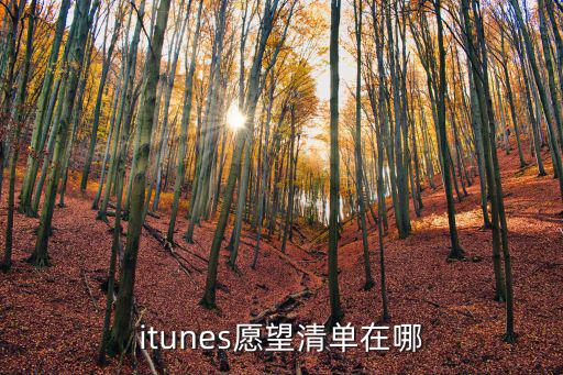 itunes愿望清单在哪