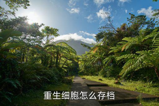 重生细胞怎么存档