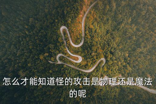 怎么才能知道怪的攻击是物理还是魔法的呢