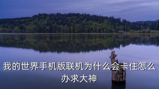 我的世界手机版联机为什么会卡住怎么办求大神