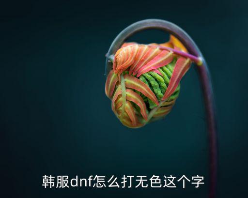 韩服dnf怎么打无色这个字