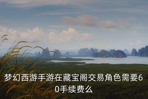梦幻手游藏宝阁角色怎么选，大话西游手游藏宝阁什么时候可以卖装备 藏宝