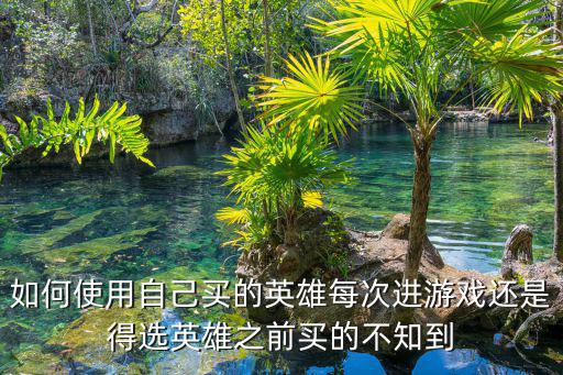 如何使用自己买的英雄每次进游戏还是得选英雄之前买的不知到