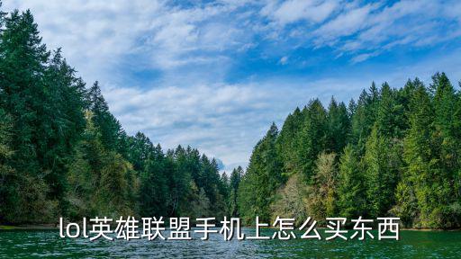 lol英雄联盟手机上怎么买东西