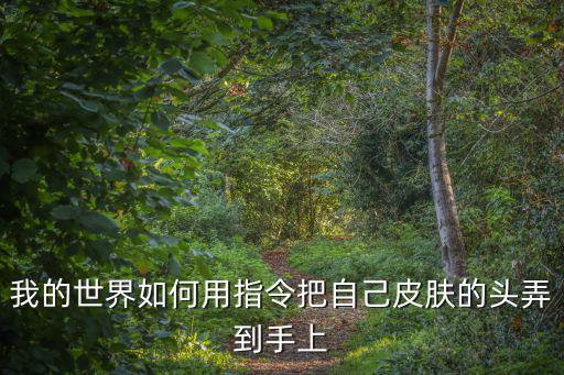 我的世界如何用指令把自己皮肤的头弄到手上