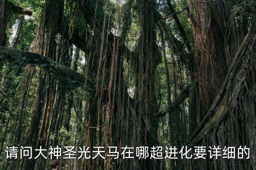 手游sp圣光天马怎么进化，圣光天马在哪超进化