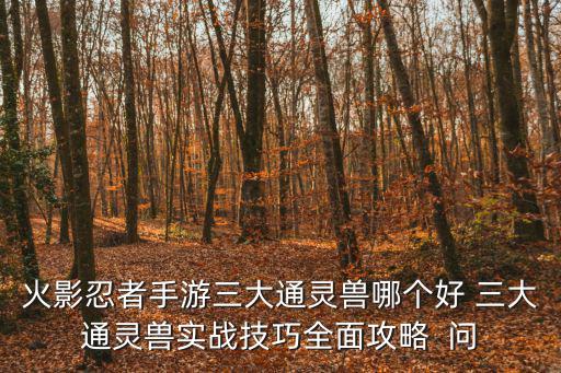 火影忍者手游大野兽怎么玩，火影忍者手游海野伊鲁卡厉害吗 C忍玩法攻略