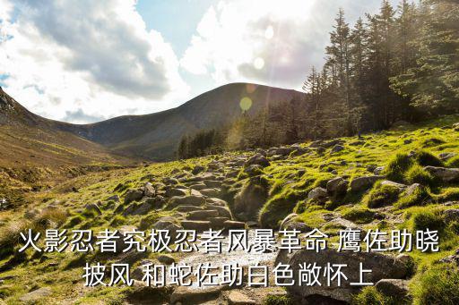火影忍者究极忍者风暴革命 鹰佐助晓披风 和蛇佐助白色敞怀上