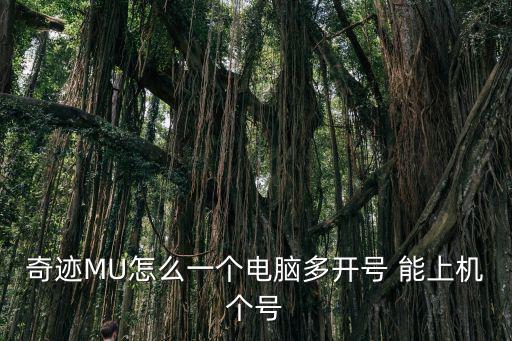 奇迹MU怎么一个电脑多开号 能上机个号