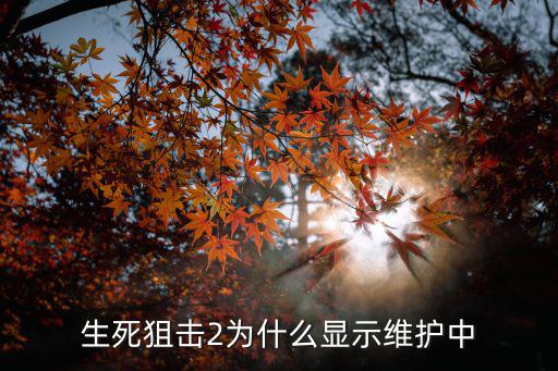 生死狙击2为什么显示维护中