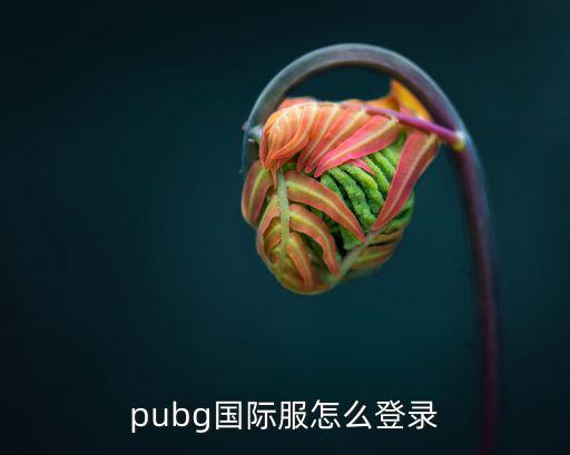 正版刺激战场国际服手游怎么登录，pubg国际服怎么登录