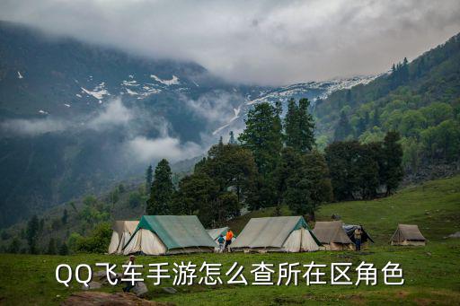 手游飞车怎么查看地图路线，QQ飞车手游地图在哪 怎么看最佳纪录