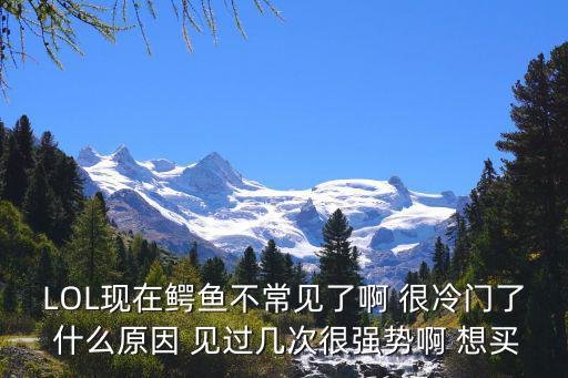 LOL现在鳄鱼不常见了啊 很冷门了 什么原因 见过几次很强势啊 想买