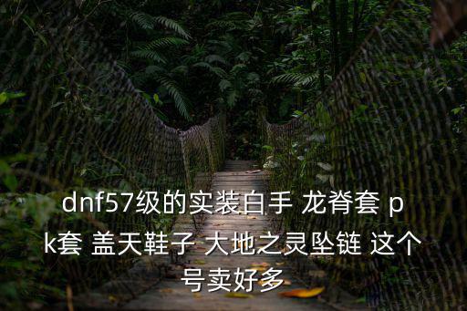 dnf57级的实装白手 龙脊套 pk套 盖天鞋子 大地之灵坠链 这个号卖好多