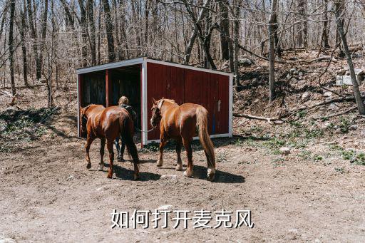 新木筏求生2手游怎么开麦克风，急急急求生之路2的麦克风调控不可 附图 高手进来看看 求求您们