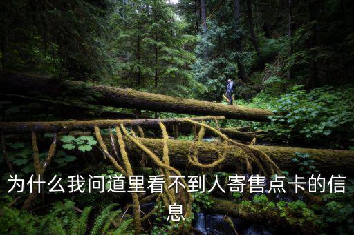 为什么我问道里看不到人寄售点卡的信息
