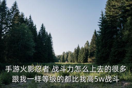 航海王手游凯多怎么获得，火影忍者手游卷轴兑换什么好 卷轴兑换商店推荐