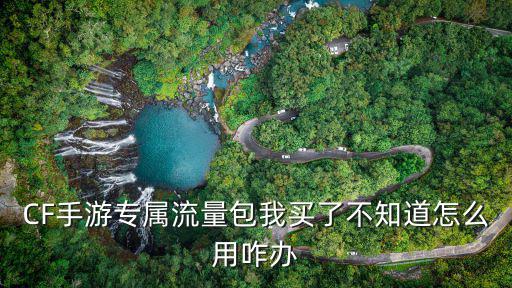CF手游专属流量包我买了不知道怎么用咋办