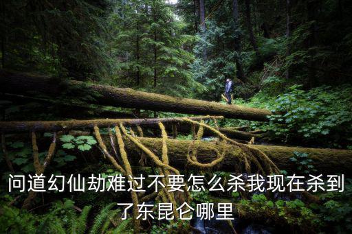 问道幻仙劫难过不要怎么杀我现在杀到了东昆仑哪里