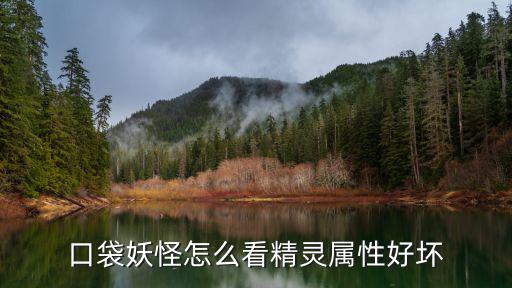 口袋妖怪怎么看精灵属性好坏