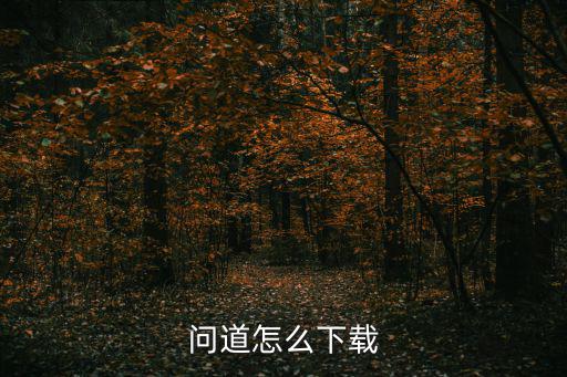 问道手游怎么下载登录，怎么下载问道游戏