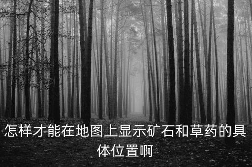 怎样才能在地图上显示矿石和草药的具体位置啊