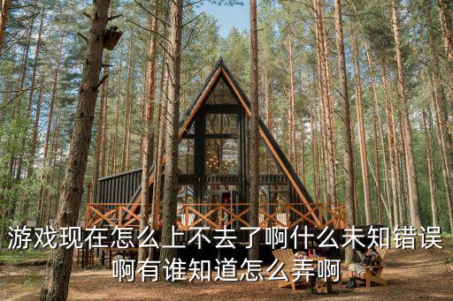 游戏现在怎么上不去了啊什么未知错误啊有谁知道怎么弄啊