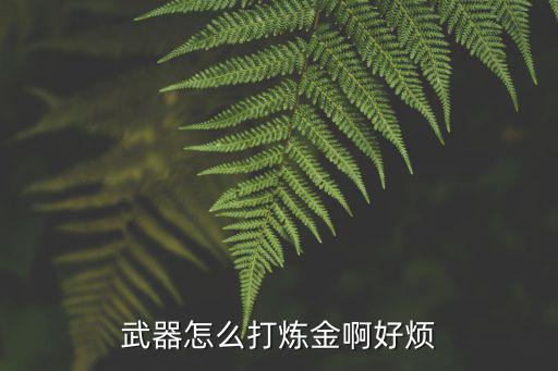 武器怎么打炼金啊好烦