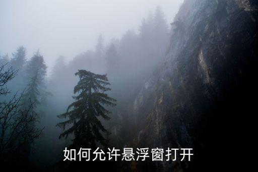 如何允许悬浮窗打开