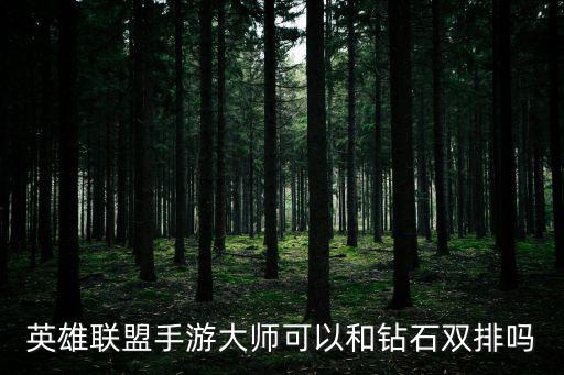 lol手游大师怎么双排，英雄联盟手游大师可以和钻石双排吗